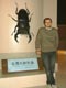 DORCUS