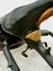 DYNASTES