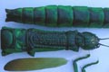 MEGACRANIA