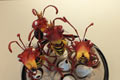 SOCIAL NETWORKS EXHIBIT