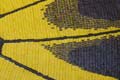 TROIDES