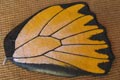 TROIDES