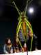 BUGS in PHILLY