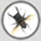 BUGS