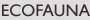 ABOUT ME