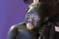 TURKANA BOY