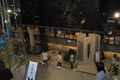 INSECT-MUSEUM-TAIWAN
