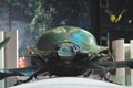 INSECT-MUSEUM-TAIWAN