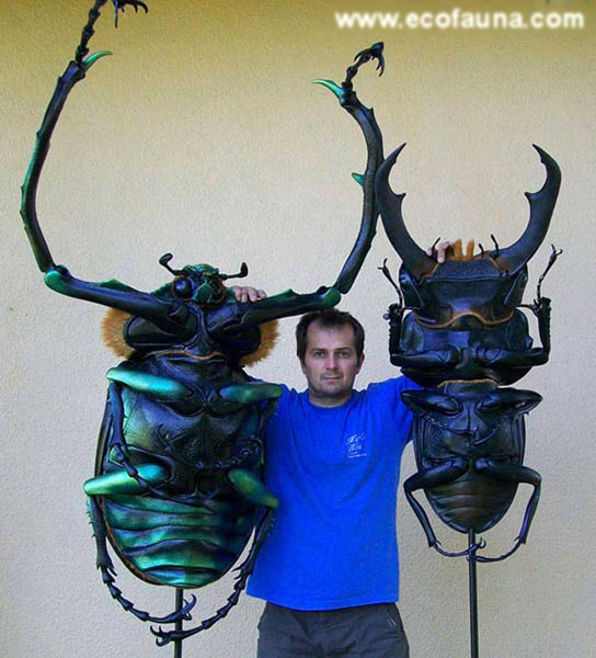 ME AND MY MODELS